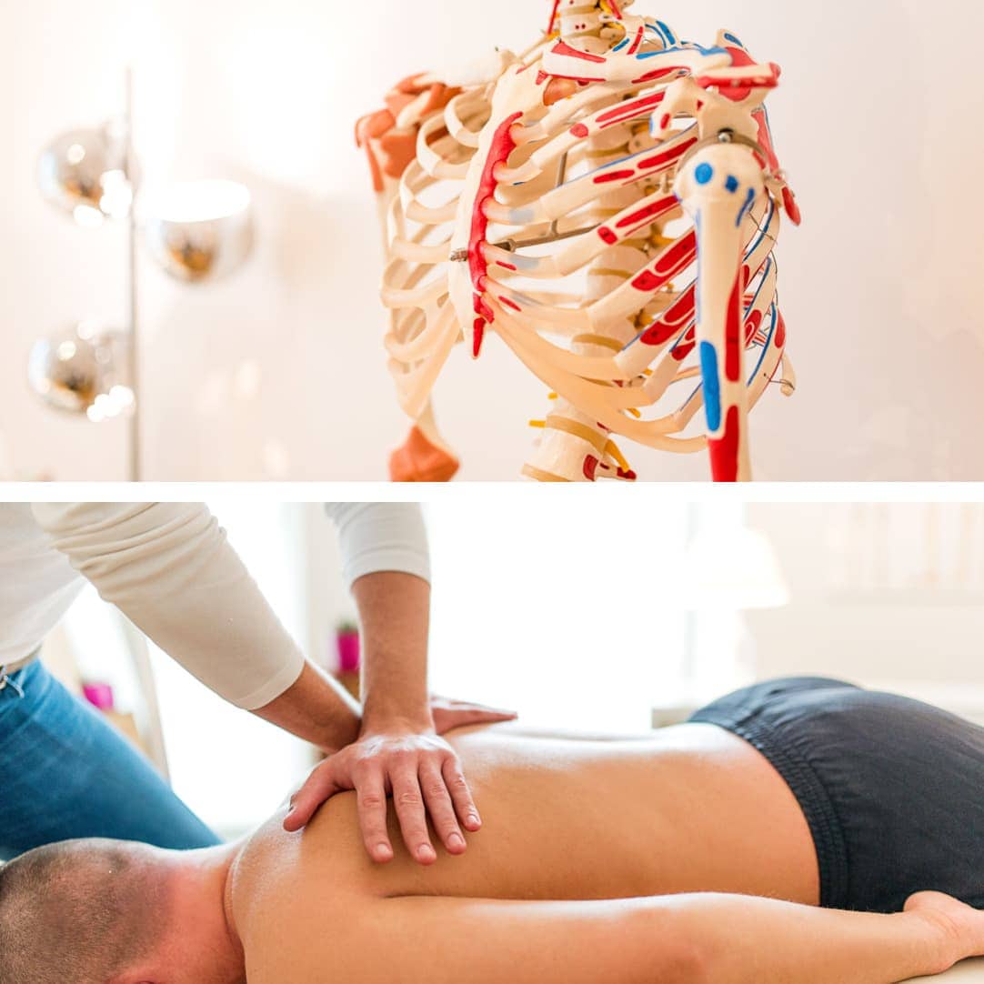 Das Bild zeigt die anatomischen Grundlagen des menschlichen Körpers durch ein detailliertes Skelettmodell, ergänzt durch eine Anwendung von Körpertherapie, die Entspannung und Schmerzlinderung fördert. Diese Kombination aus Anatomie und praktischer Massage verdeutlicht die Bedeutung von Wissen über den Körper in der Gesundheits- und Wellnessbranche.